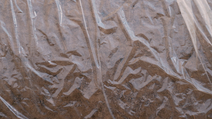 Simona Obholzer, Filmstill aus „DIN 18035“, 2024.