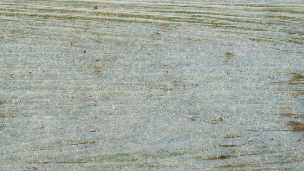 Simona Obholzer, Filmstill aus „DIN 18035“, 2024.