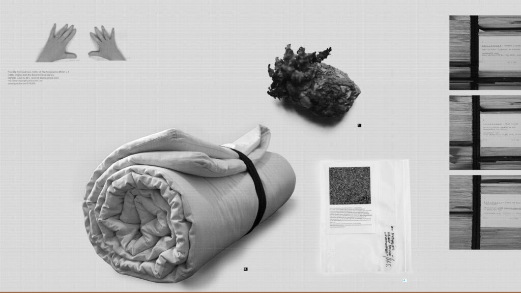 Detail, Sektion Objets trouvés, The Golden Pixel Cooperative, „search form“, Kunsthalle Exnergasse, 2016, Grafik: Simona Obholzer