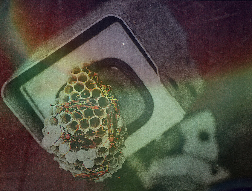 „Framing Collective Action (Haus)“, 04.09.–14.09.2026; Collectif Faire-Part, Filmstill aus „Faire-part”, 2019