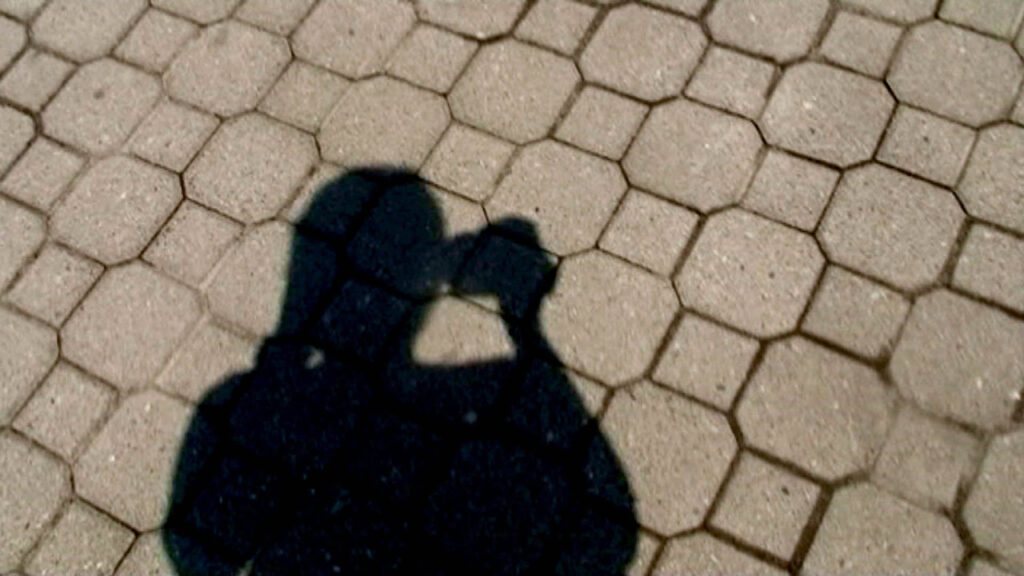 Film still from “Profession: Documentarist” directed by Shirin Barghnavard, Firouzeh Khosrovani, Farahnaz Sharifi, Mina Keshavarz, Sepideh Abtahi, Sahar Salahshoor, and Nahid Rezaei
© Mina Keshavarz